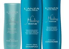 Lanza2